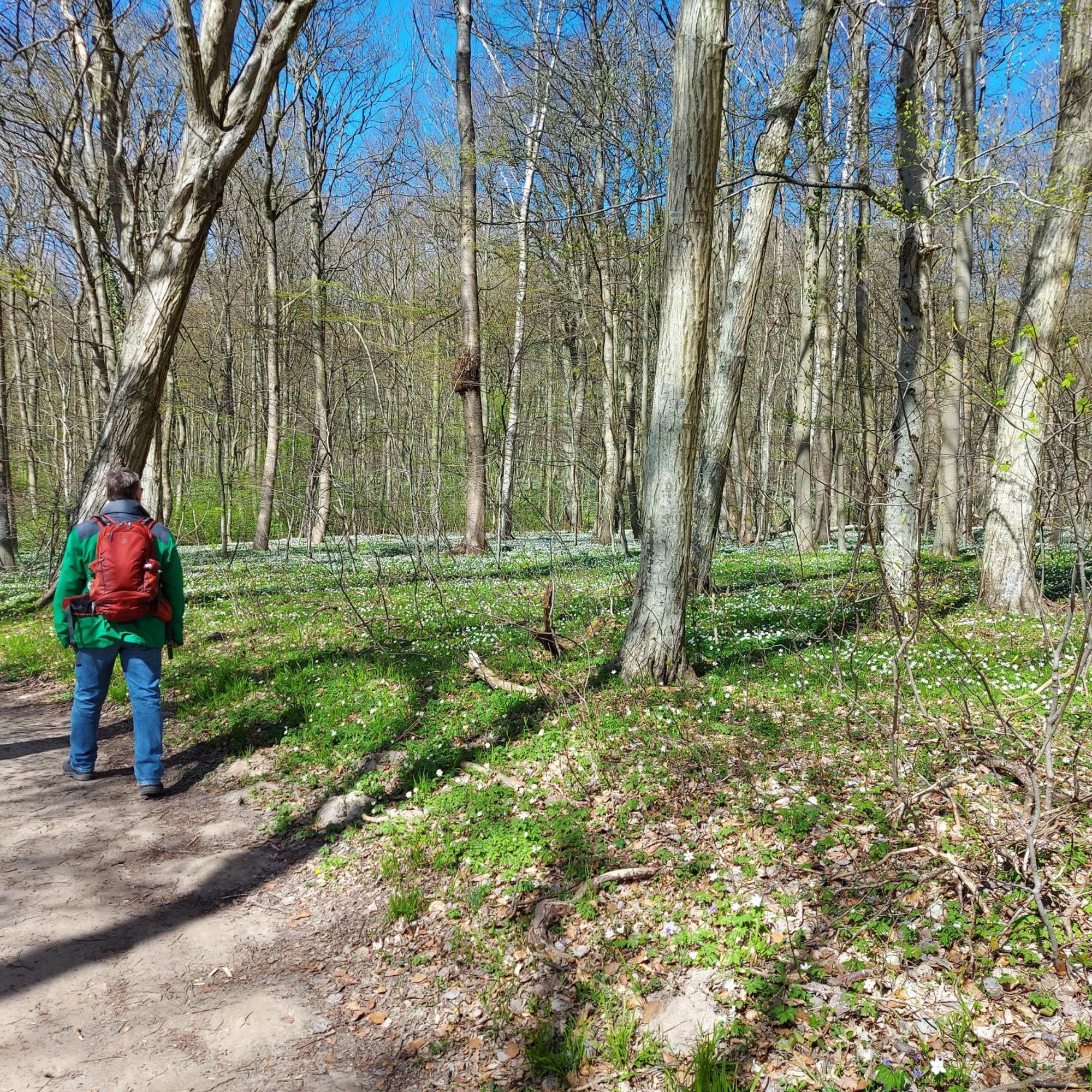 An Der Brunnenaue 4 Sterne, E-ladestation Am Haus, Wlan, Netflix, Garten Sagard