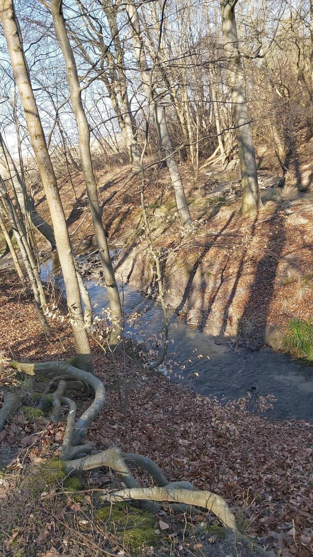 An Der Brunnenaue 4 Sterne, E-ladestation Am Haus, Wlan, Netflix, Garten * Sagard